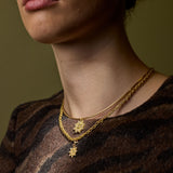 Formed | Chain | Loop in Loop
